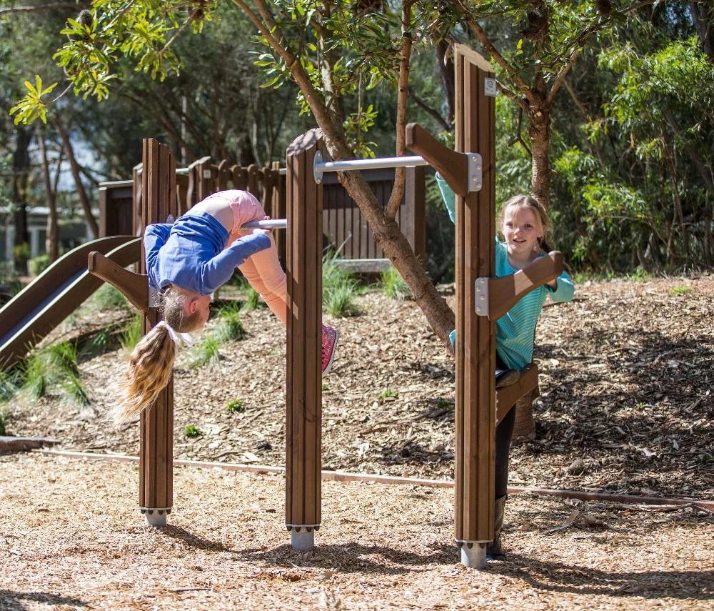 Турник "Деревья Тролля" — изображение 2