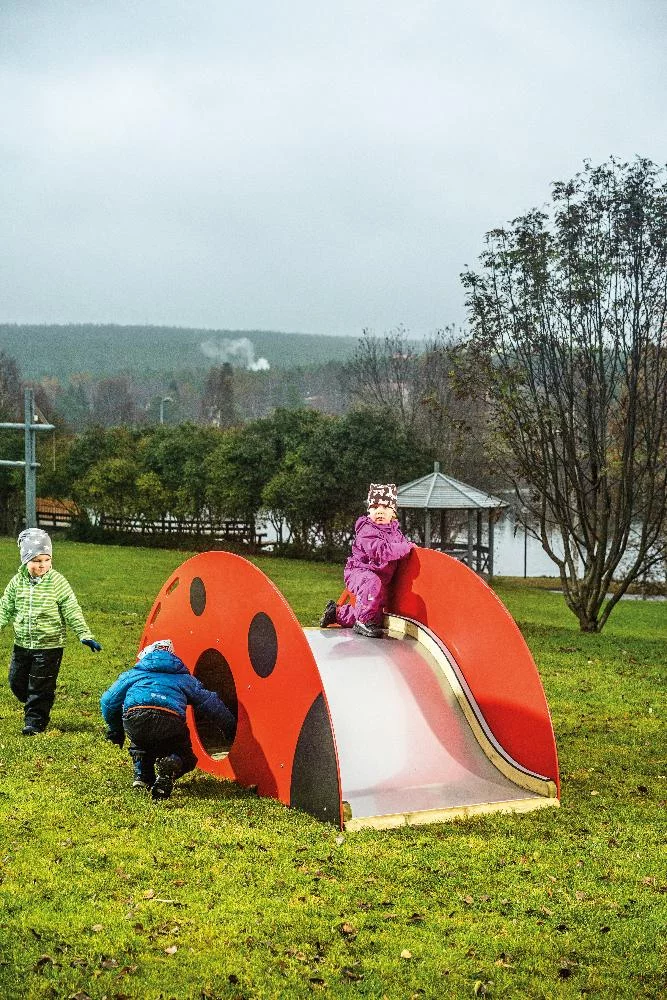 Горка «Божья коровка» — изображение 2