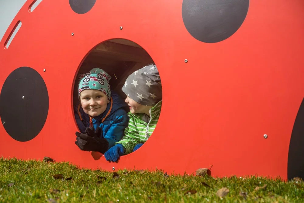 Горка «Божья коровка» — изображение 3