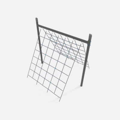 Уличный воркаут, Шелби